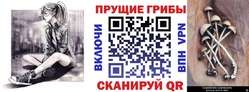 Галлюциногенные грибы ЛСД Темрюк