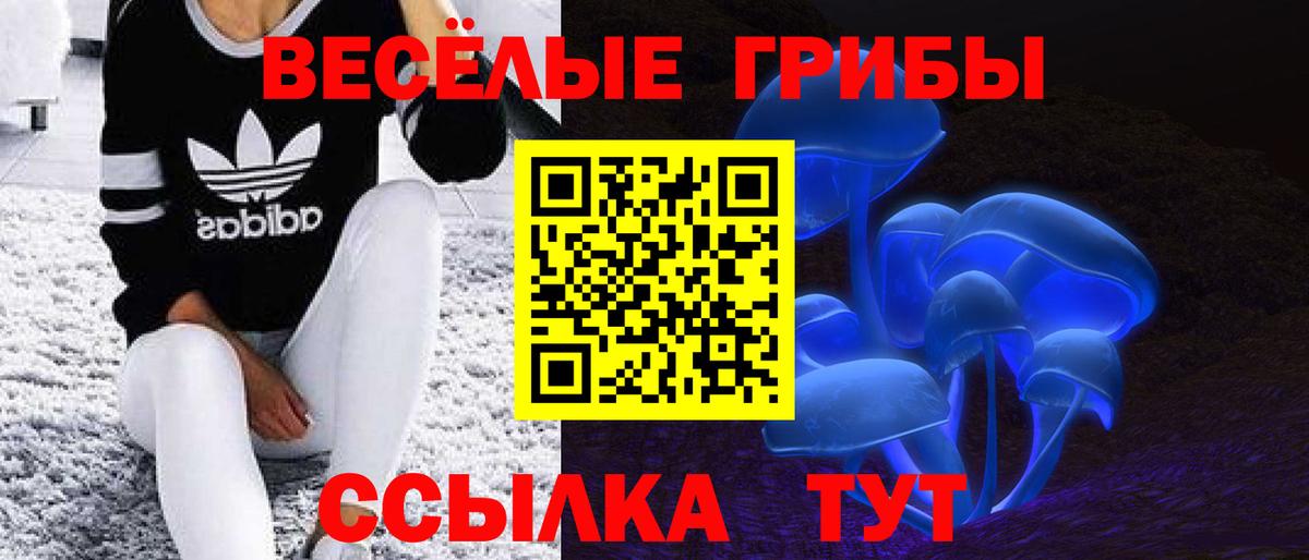 Псилоцибиновые грибы мицелий  Вход с VPN  Темрюк 