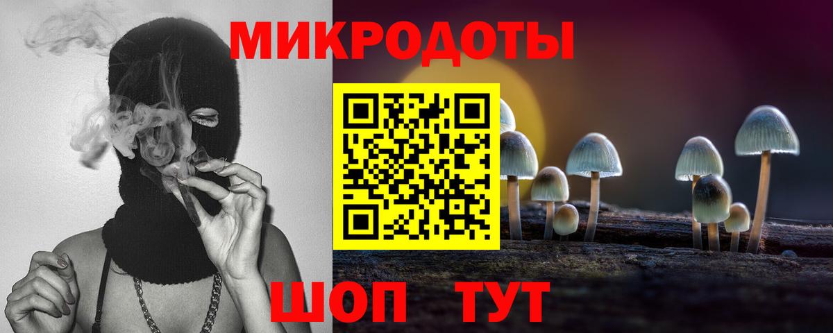 Псилоцибиновые грибы Psilocybine cubensis Темрюк